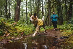 RuffWear Sun Shower Jacket sadetakki, M-XL ,Earth Brown