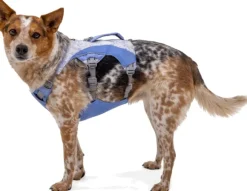 RuffWear Swamp Cooler Harness viilentävät valjaat, pastellinsininen