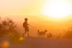 RuffWear Swamp Cooler Harness viilentävät valjaat, pastellinsininen