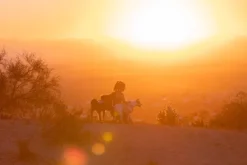 RuffWear Swamp Cooler Harness viilentävät valjaat, pastellinsininen