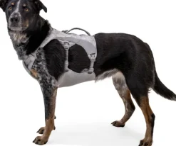 RuffWear Swamp Cooler Harness Graphite Gray (2024)
