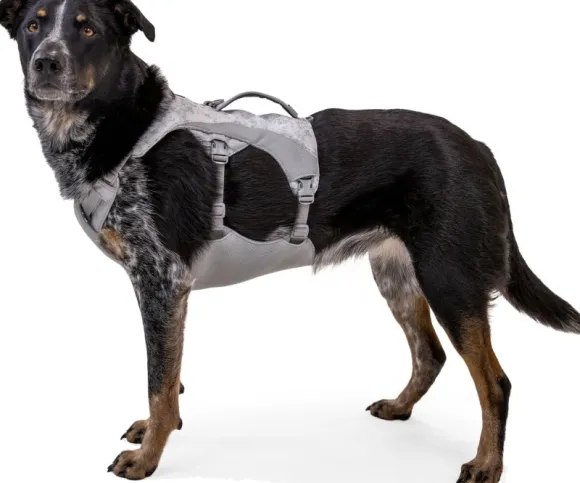 RuffWear Swamp Cooler Harness Graphite Gray (2024)