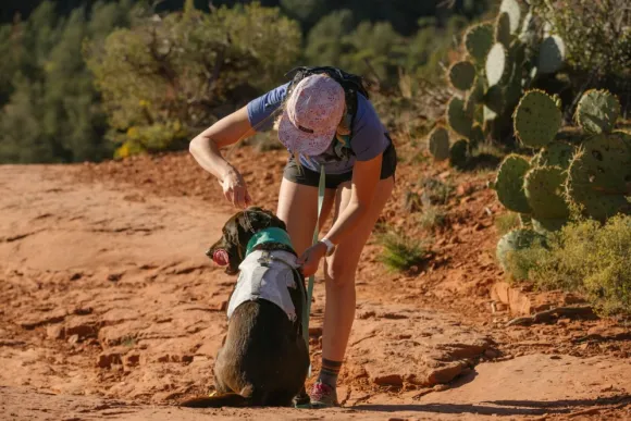 RuffWear Swamp Cooler Harness Graphite Gray (2024)
