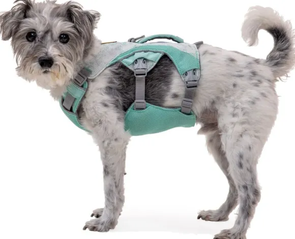 RuffWear Swamp Cooler Harness viilentävät valjaat, pastellinvihreä