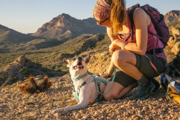 RuffWear Swamp Cooler Harness viilentävät valjaat, pastellinvihreä