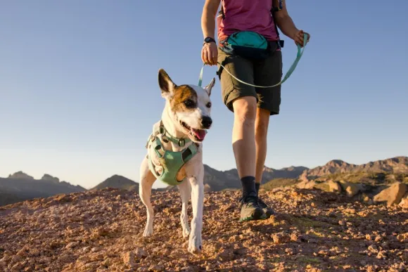 RuffWear Swamp Cooler Harness viilentävät valjaat, pastellinvihreä