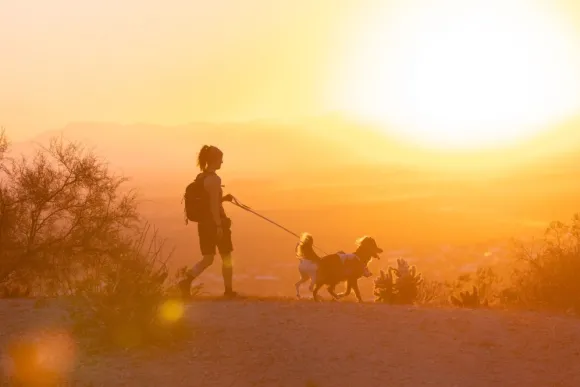 RuffWear Swamp Cooler Harness viilentävät valjaat, pastellinvihreä