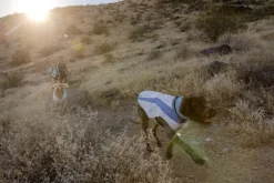 RuffWear Swamp Cooler Neck Gaiter koirien viilennyskauluri