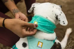 RuffWear Swamp Cooler Neck Gaiter koirien viilennyskauluri