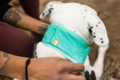 RuffWear Swamp Cooler Neck Gaiter koirien viilennyskauluri