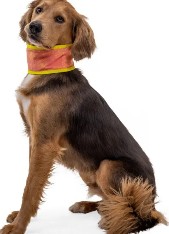 RuffWear Swamp Cooler Neck Gaiter koirien viilennyskauluri