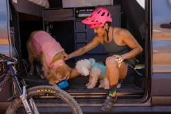 RuffWear Swamp Cooler Neck Gaiter koirien viilennyskauluri