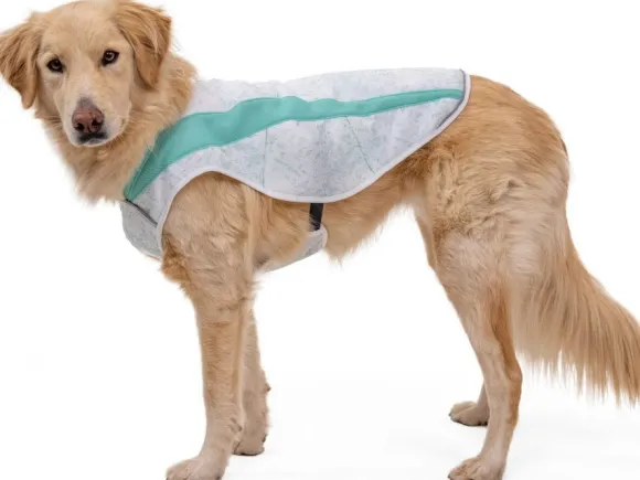 RuffWear Swamp Cooler Vest Graphite Gray