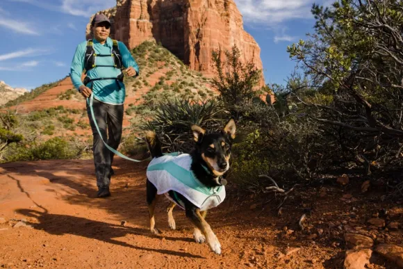 RuffWear Swamp Cooler Vest Graphite Gray