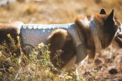 RuffWear Swamp Cooler Zip Graphite Gray