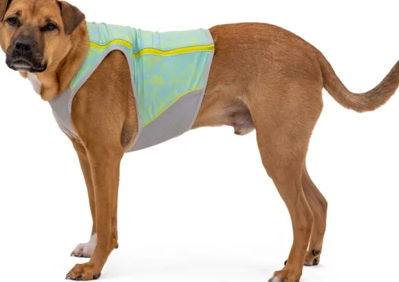 RuffWear Swamp Cooler Zip Vest koiran viilentävä liivi