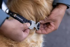 RuffWear Top Rope Collar koiran kaulapanta, River Rock Green