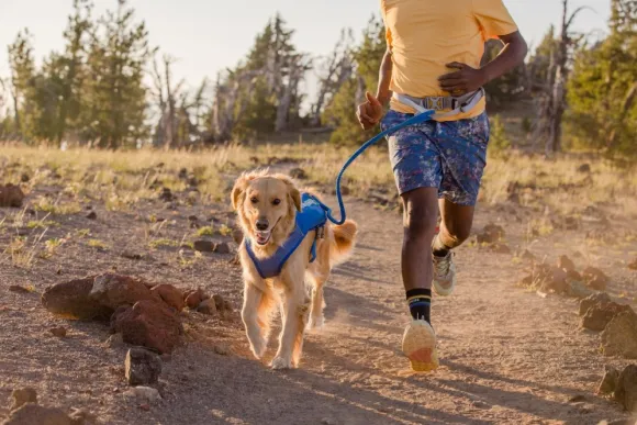 RuffWear Trail Runner Belt juoksuvyö, sininen