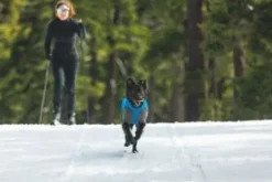 RuffWear Vert Coverall koiran talvihaalari, M-XL, Blue Pool