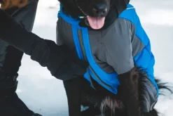 RuffWear Vert Coverall koiran talvihaalari, M-XL, Blue Pool