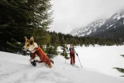 RuffWear Vert koiran talvitakki, Canyonlands Orange