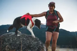 RuffWear Web Master Harness River Rock Green