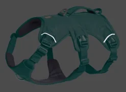 RuffWear Web Master Harness River Rock Green