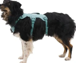 RuffWear Web Master Harness River Rock Green