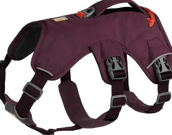 RuffWear Web Master Harness valjaat, Purple Rain