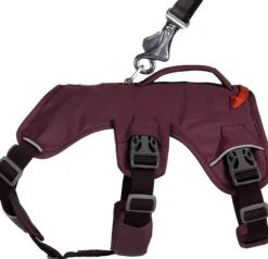 RuffWear Web Master Harness valjaat, Purple Rain