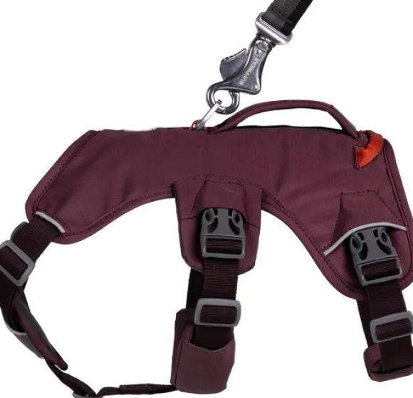 RuffWear Web Master Harness valjaat, Purple Rain
