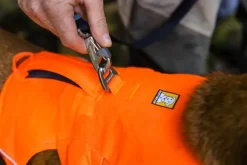 RuffWear Web Master Harness Blaze Orange