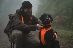 RuffWear Web Master Harness Blaze Orange