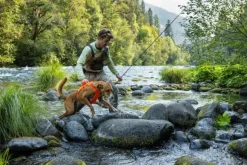 RuffWear Web Master Harness Blaze Orange