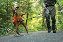 RuffWear Web Master Harness Blaze Orange