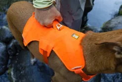 RuffWear Web Master Harness Blaze Orange