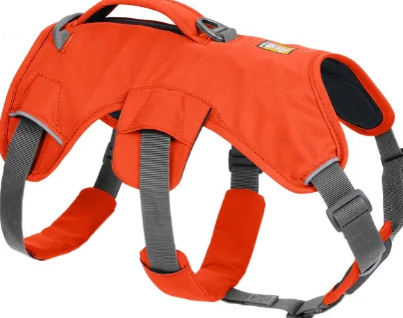 RuffWear Web Master Harness Blaze Orange (2024)
