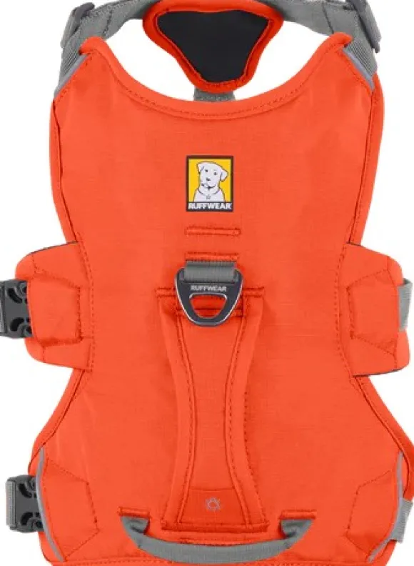 RuffWear Web Master Harness Blaze Orange (2024)