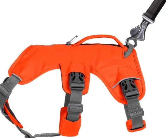 RuffWear Web Master Harness Blaze Orange (2024)