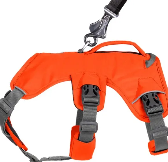 RuffWear Web Master Harness Blaze Orange (2024)