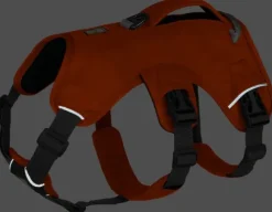 RuffWear Web Master Harness Blaze Orange (2024)