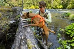 RuffWear Web Master Harness Basalt Gray