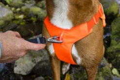 RuffWear Web Master Harness Basalt Gray