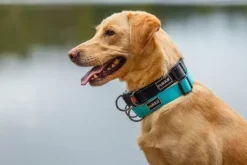 Rukka Bliss Collar Black L