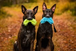 Rukka Fluffy Toy Green