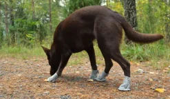 Rukka Summer Shoes 2 pcs Gray size 7-8