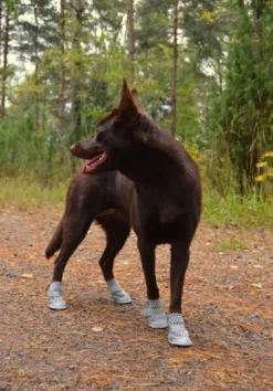 Rukka Summer Shoes 2 pcs Gray size 3-4