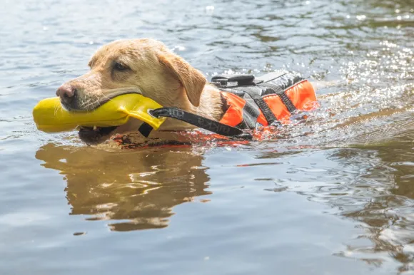 Rukka Training Dummy Yellow M