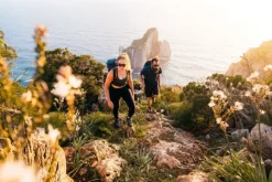 Scarpa M's Rapid XT Taupe Rust Orange