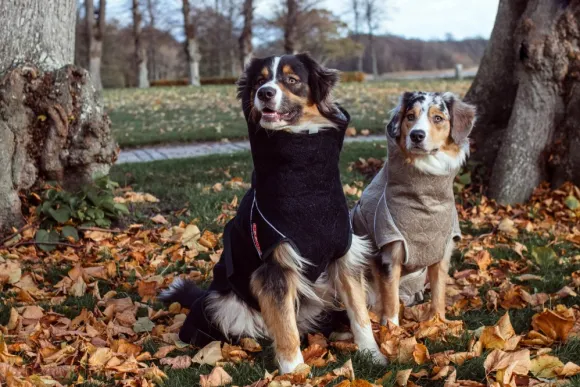 Siccaro Solution kuivausloimi, Sand 70 (XXL)